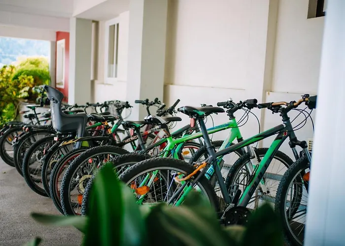 Seecamping Hoffmann Kamp alanı *